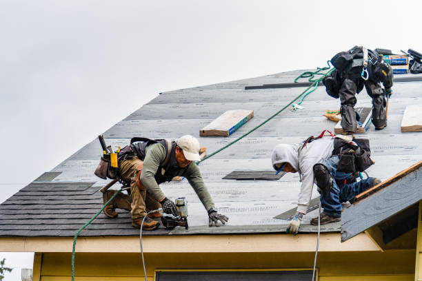 Professional Gutter Installation technician working in Thomasboro, IL